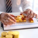 What Makes the US Share Market Different From Other Markets?